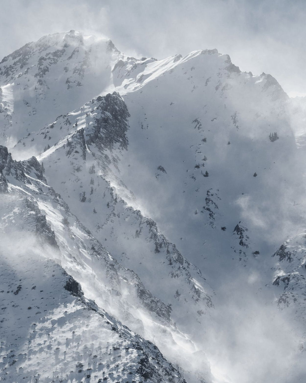 Stormrest Claude Vases