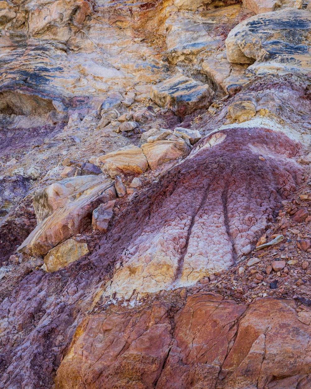 Petralis Claude Vases