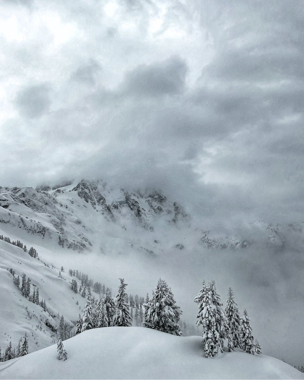 Blizarra Claude Vases