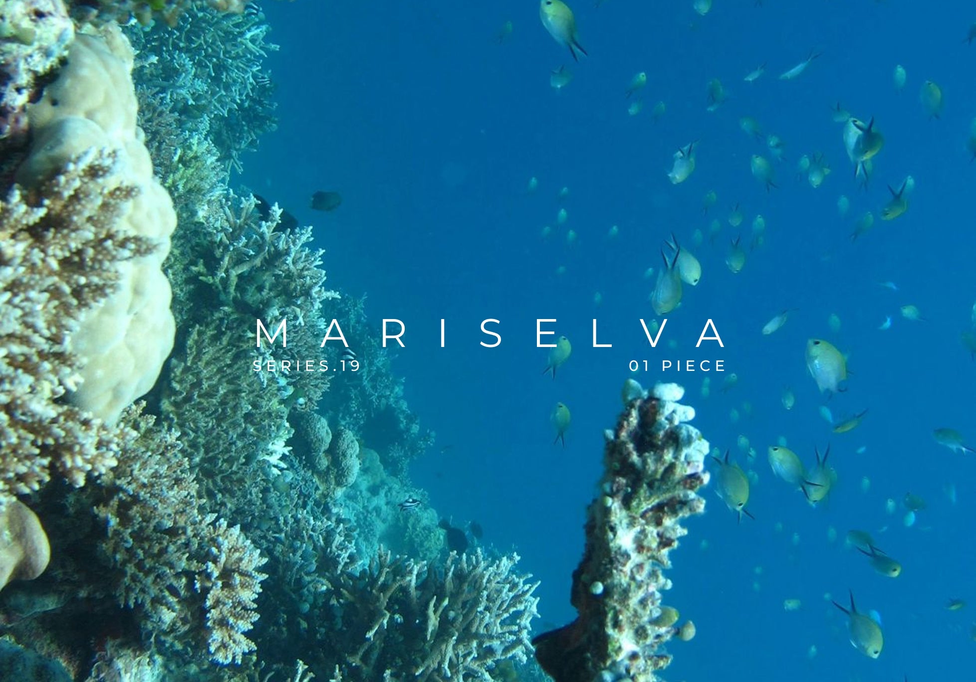 Mariselva Claude Vase - Ware Innovations Mumbai