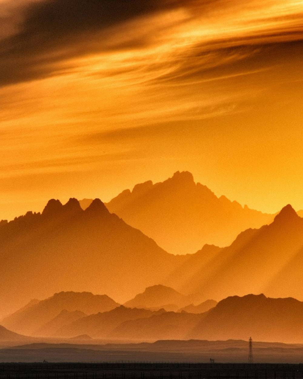 Suncrest Claude Vases