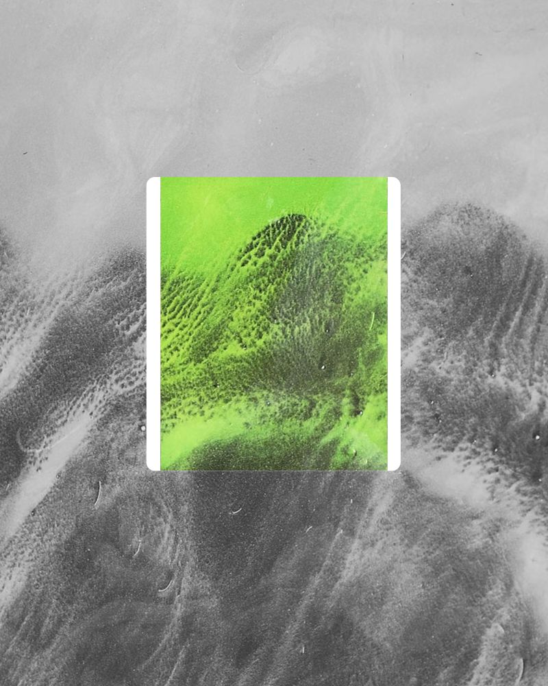 107 Algora Claude Vase