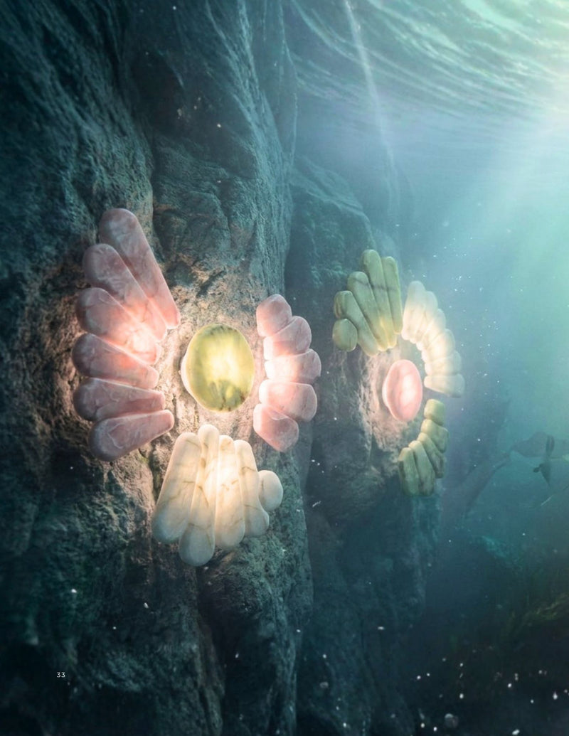 The Coral Reef Wall Light