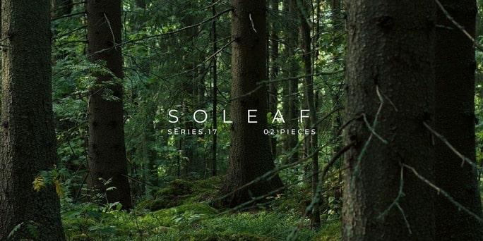 Soleaf vases