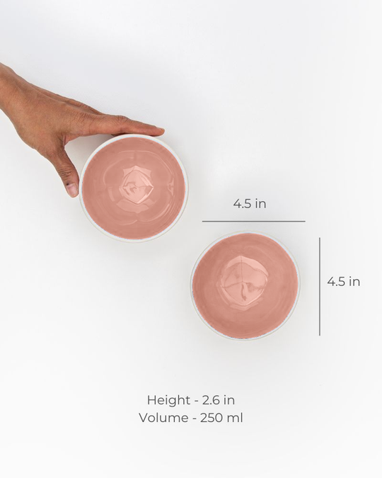 Fullstop 250ml Dessert Bowl Pink (Set of 2)